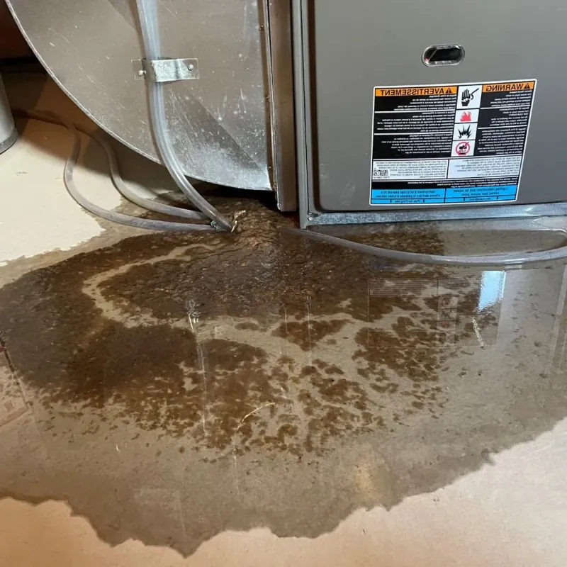 Pipe Burst and Leak Restoration in Friday Harbor, WA