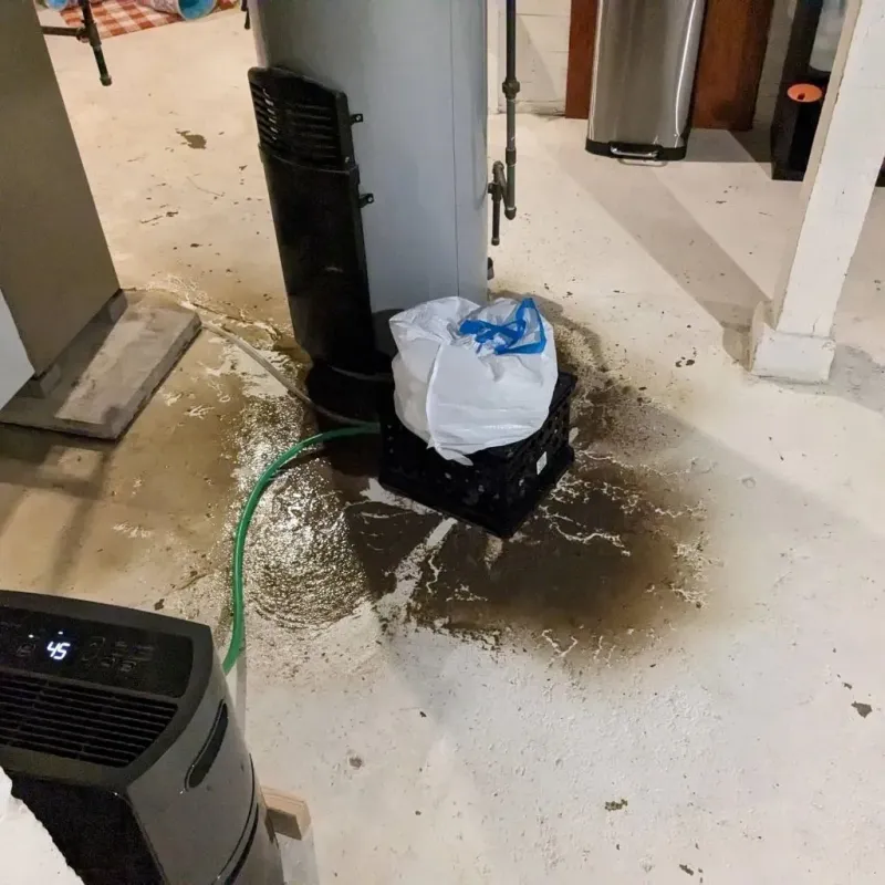 Sewage Backup Cleanup Service in Friday Harbor, WA